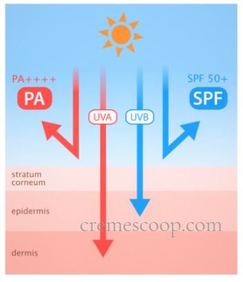difference between physical and chemical sunscreens