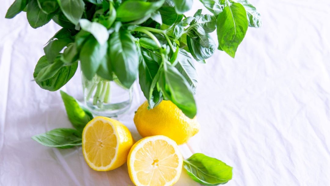 basil herbs and lemon