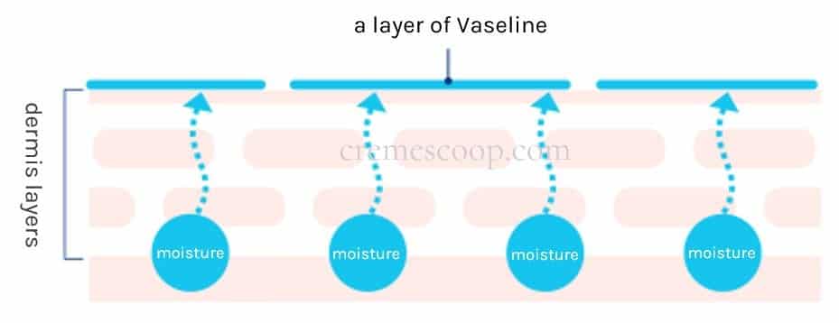 how vaseline works